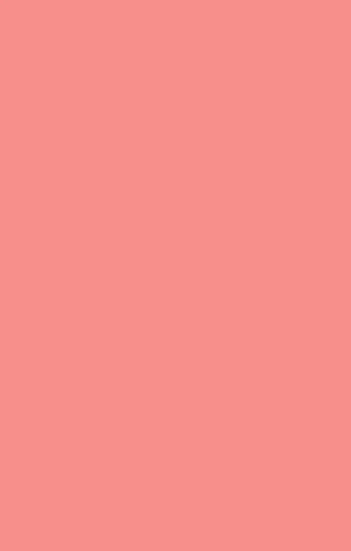 Bridesmaid Fabric Swatch - Image 22