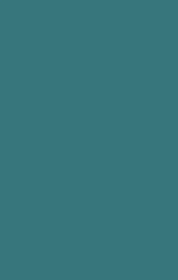 Bridesmaid Fabric Swatch - Image 33