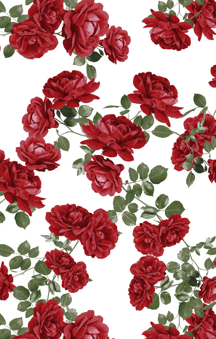 Bridesmaid Fabric Swatch - Image 50