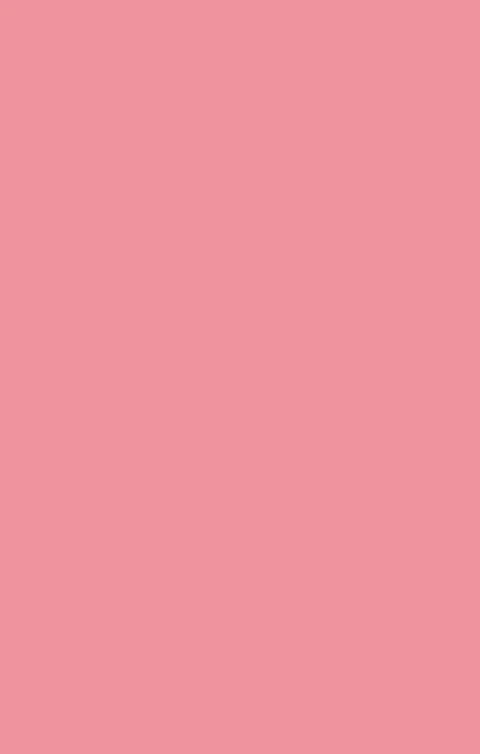 Bridesmaid Fabric Swatch - Image 66