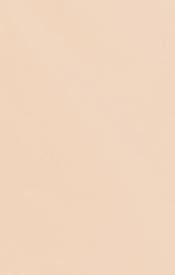 Bridesmaid Fabric Swatch ~ Champagne Stretch - Image 3