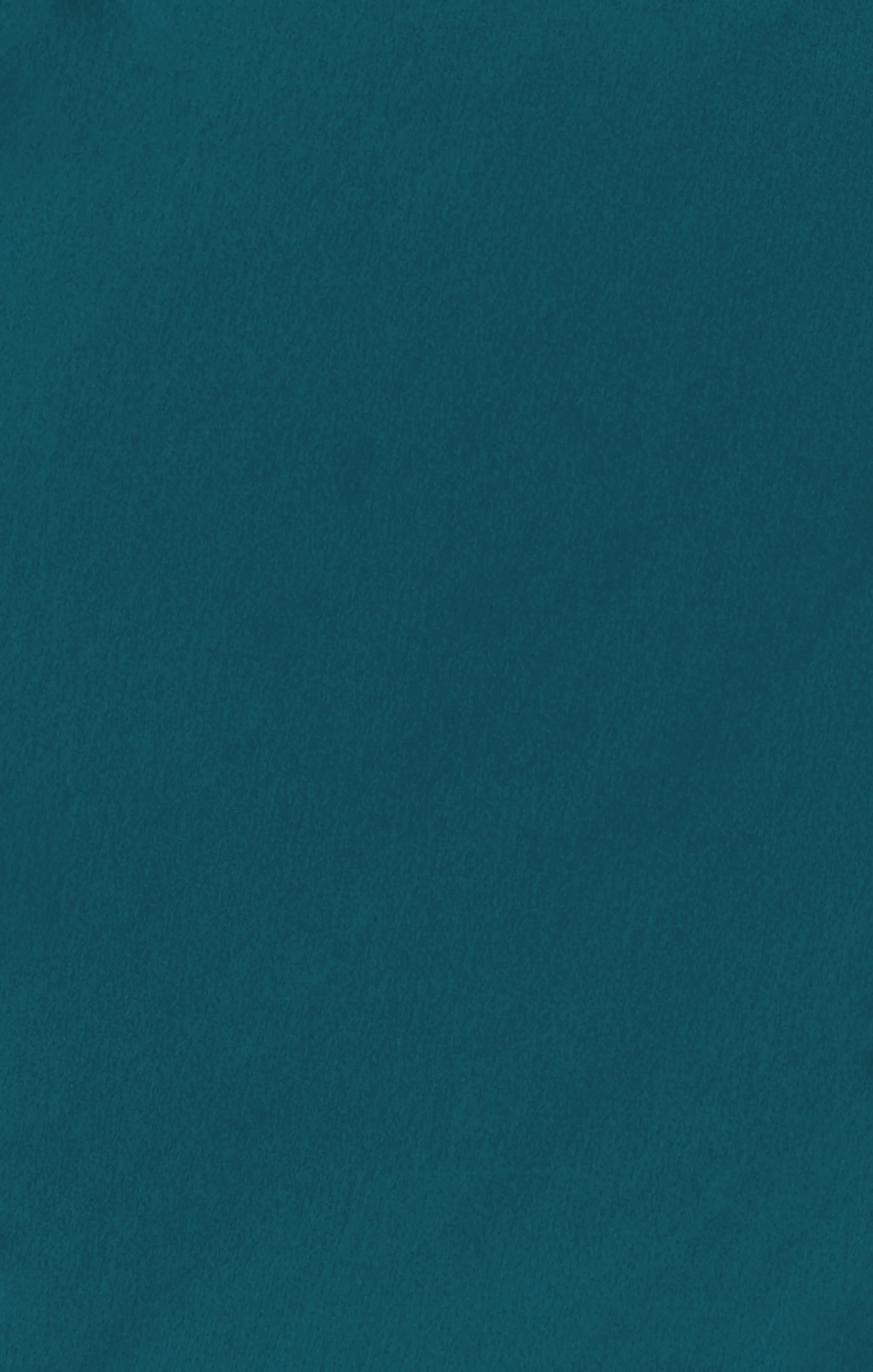 Bridesmaid Fabric Swatch ~ Deep Emerald Luxe Satin - Image 3