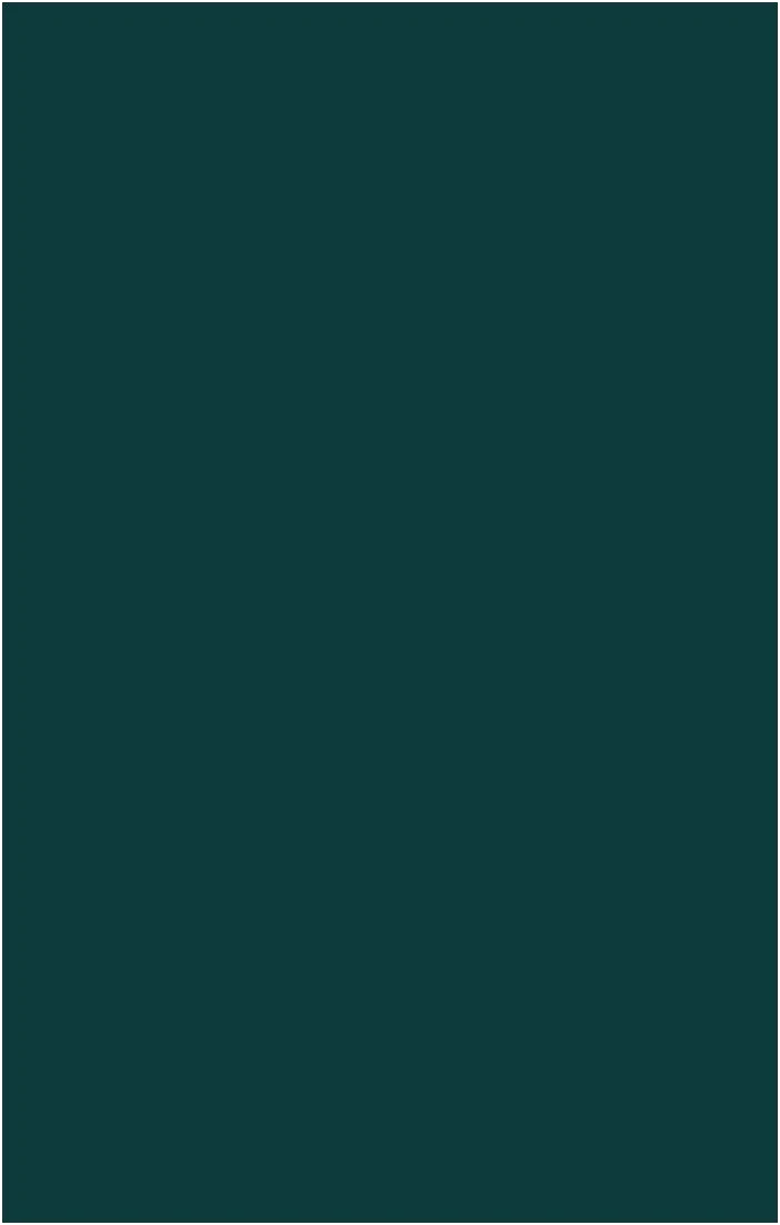 Bridesmaid Fabric Swatch ~ Emerald Chiffon - Image 3