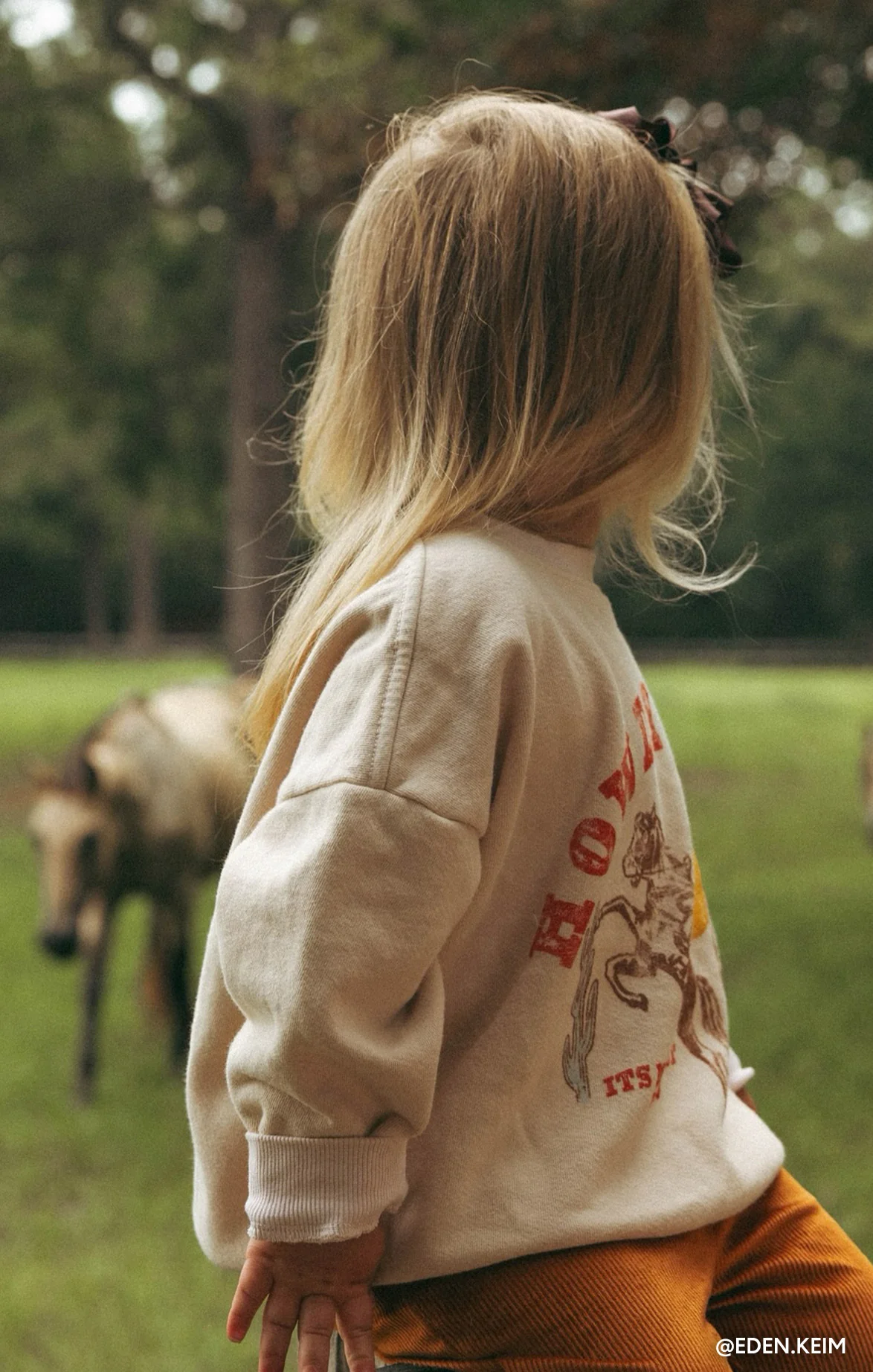 Davis Sweatshirt ~ Distressed Howdy Graphic - Image 3