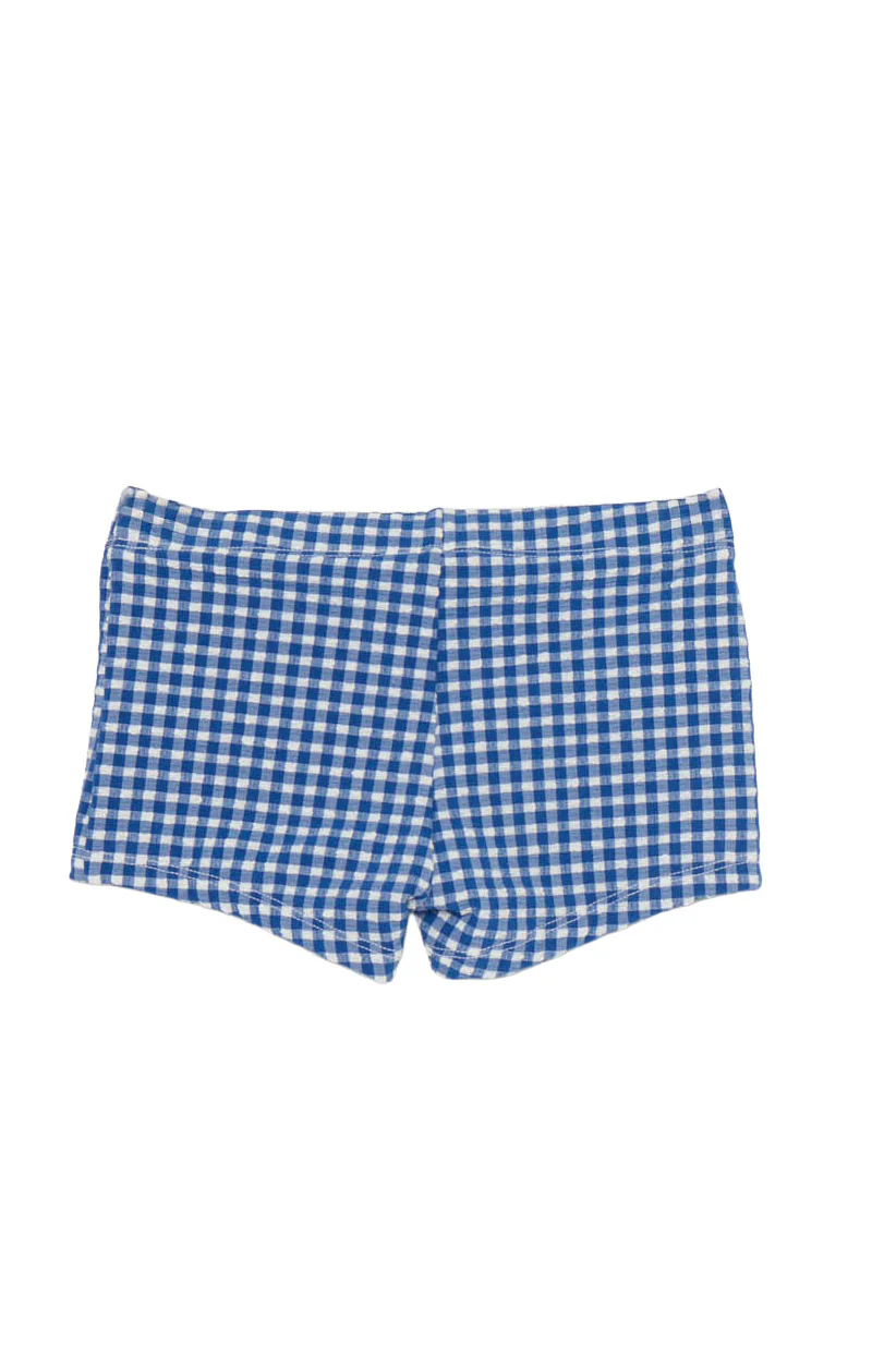 Lil Dude Shorts ~ Blueberry Gingham - Image 5