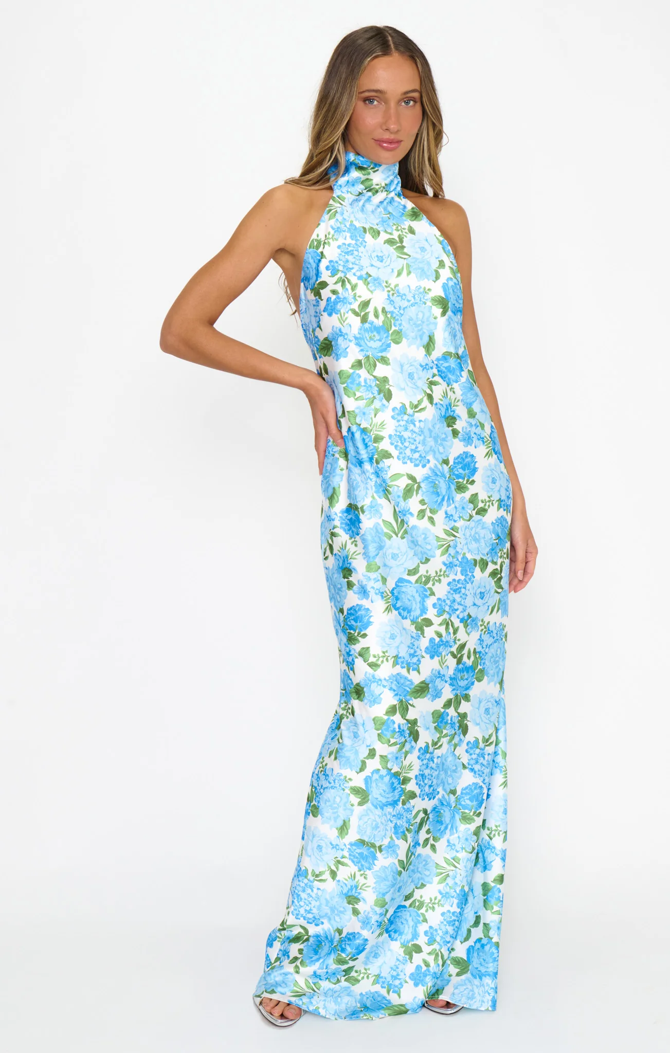 Lisa Maxi Dress ~ Cottage Floral Blue - Image 3