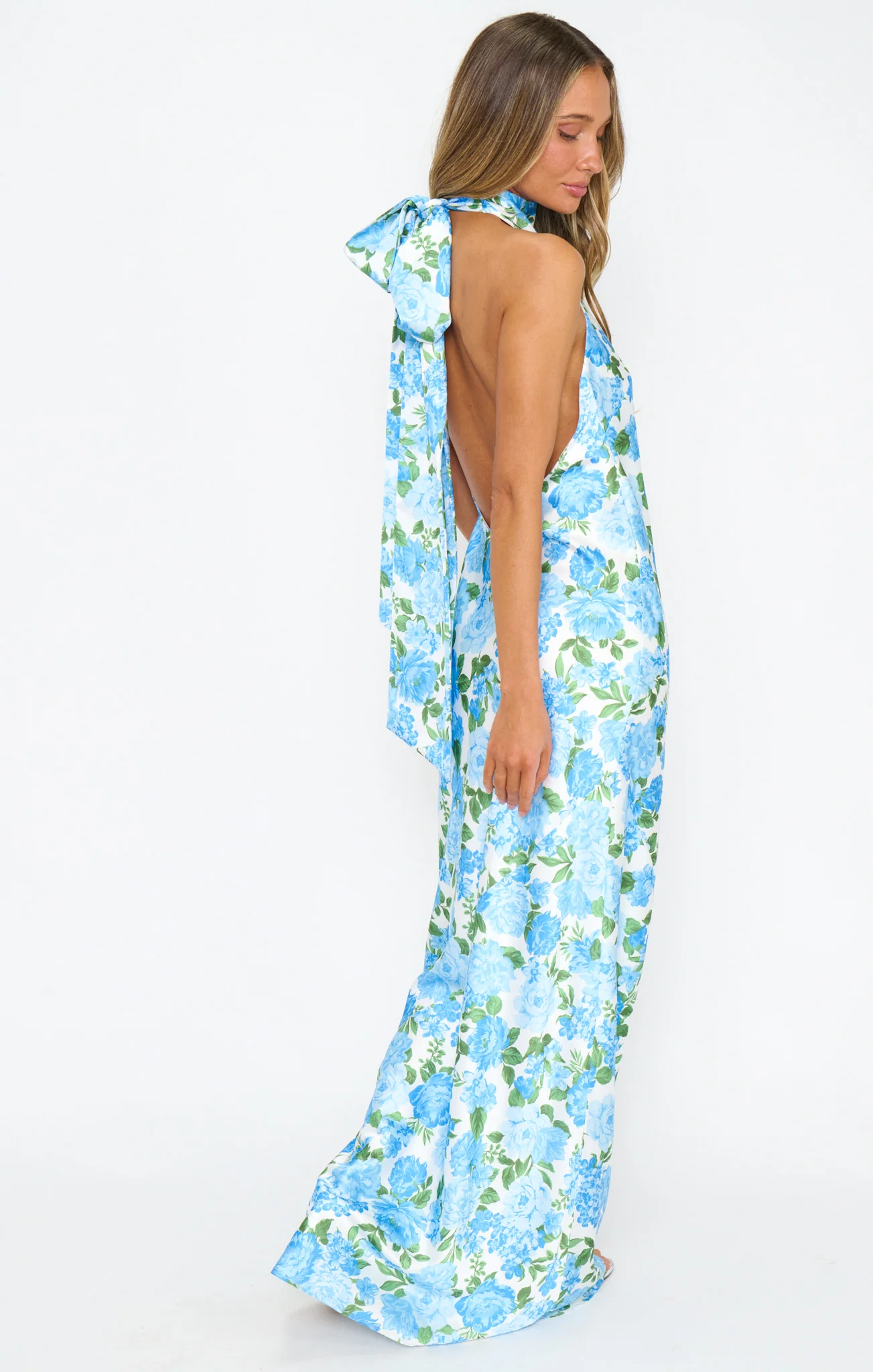 Lisa Maxi Dress ~ Cottage Floral Blue - Image 4
