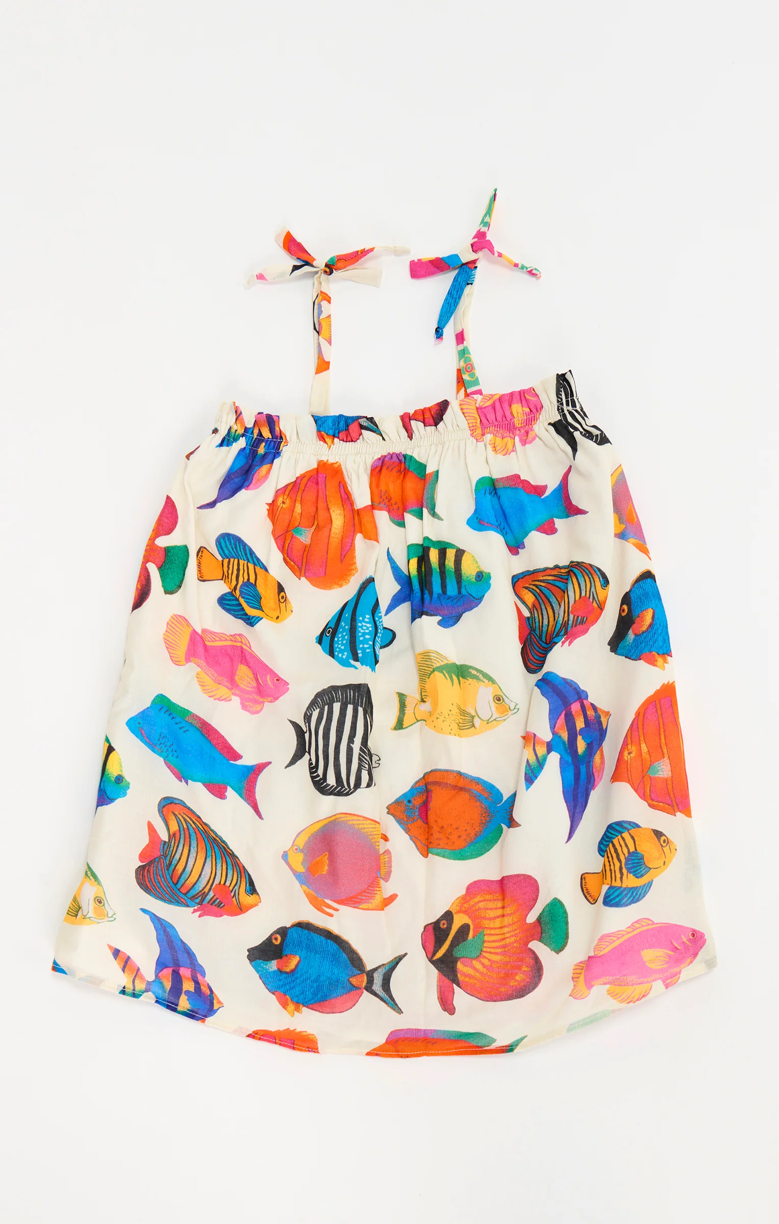 Little Angel Mini ~ Rainbow Reef - Image 6